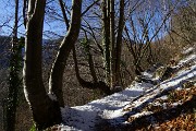 71 Dal Crosnello al Roccolo Spadi